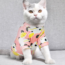 憨憨乐园 2020冬季加绒保暖猫衣服狗狗衣服宠物冬季保暖卫衣可爱猫咪衣服 粉色涂鸦L建议8-10斤内