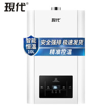 【上门安装】现代燃气热水器智能变频恒温家用煤气低水压强排式大屏即热式小型 10升白色+智能恒温+上门安装 瓶装煤气（液化气）