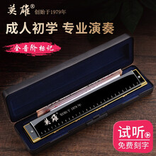 上海国光厂英雄口琴28孔复音C调宽音域重音高级成人专业演奏级初学者学生儿童入门乐器抖音同款 28孔黑色复音C调+学习资料+电子视频 C调