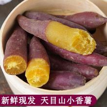 梓乐果 3/5斤临安天目山小香薯新鲜红薯正宗板栗沙地番薯地瓜手指小红薯 5斤 中果