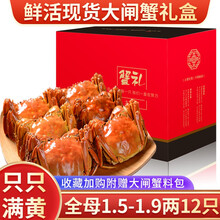【活蟹】【全母蟹】阳澄西湖大闸蟹鲜活螃蟹现货海鲜水产生鲜蟹类礼盒 全母蟹:1.5-1.9两（12只）