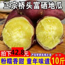 正宗海南桥头富硒地瓜新鲜红薯10斤板栗番薯新鲜沙地1斤批发 桥头地瓜10斤【精选中大果】