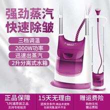 飞利浦（PHILIPS）挂烫机蒸汽电熨斗器家用手持立体式烫衣服防皱纹熨烫斗 GC612 | 2000 瓦 3档蒸汽量