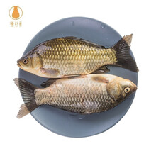 猫扑鱼 微山湖生态鲫鱼(净膛) 淡水鱼现捕现杀 生鲜 老人孕产妇炖汤营养 大鲫鱼1斤装（2-3条）