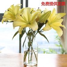 瑰季黄天霸香水百合鲜花云南家用昆明直批直供水养插花花束 黄天霸10朵+（保鲜剂）不含瓶