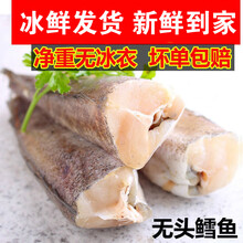 【精品冷运】去头鳕鱼新鲜冷冻无头鱼狭鳕鱼明太鱼海鲜水产深海鳕鱼大棒鱼柴鱼 康如四云 三斤装【深海鳕鱼】