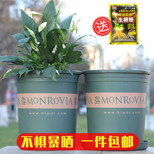 环球 圆形加仑花盆多肉绿萝兰花室内阳台加厚树脂种植盆户外客厅月季君子兰大号塑料种花盆 1加仑花盆带托盘-三个装