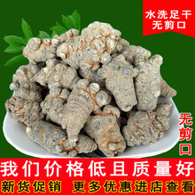 康中尊 云南文山春三七仿野生种植20头30头田七500g磨超细粉37片1斤 精选无剪口25头500g