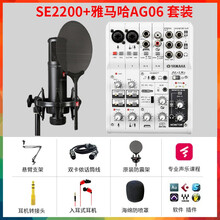 SE  SE2200电容麦克风话筒 手机K歌直播主播声卡套装 专业录音电台配音编曲混音设备 SE2200+雅马哈AG06