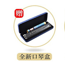 上海国光口琴重音高级成人专业演奏级C调复音初学者学生儿童专业演奏级入门乐器 赠品【口琴盒子】勿拍