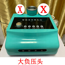 刮痧仪器美容院身体经络疏通拔罐养生馆家用发热震动按摩仪 蓝色(大负压头) 单头