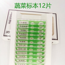 儿童显微镜标本切片 中小学生生物科学实验科普昆虫植物动物玩具 蔬菜标本12片(绿色)