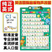 标准发音48个英语国际音标有声挂图小学生音标字母入门发声学习机英标发音学习26个英语字母卡片套装