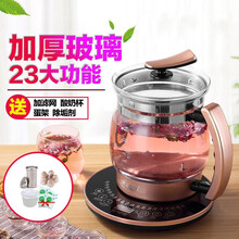 达洛优养生壶全自动加厚玻璃电煮茶壶中药壶煎药大容量2-2.5l黑茶小秋家 大滤网+酸奶盒蛋架除垢剂 升级版2.5L