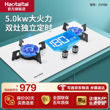 Haotaitai好太太电器燃气灶家用台式嵌入式大火力天然气/液化气煤气灶双灶具 2319B白色 12T天然气