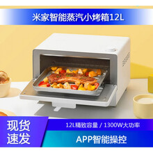 小米米家智能蒸汽小烤箱12L家用小型多功能蒸一体机烘焙控温闪易 白色