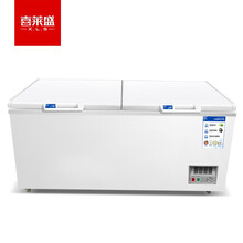 喜莱盛商用大容量冰柜冷柜保鲜柜冷藏冷冻雪糕卧式家用冰箱超市 BD-T898