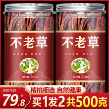 回春草野生不老草500克草苁蓉泡酒料煲汤料列当泡茶长白山不老草