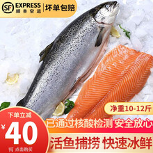 【顺丰空运】云储生活 挪威进口冰鲜三文鱼整条10-12斤 新鲜大西洋鲑鱼刺身中段即食海鲜鱼类 三文鱼整条（约10-12斤）
