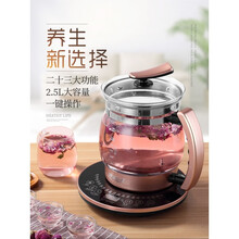 达洛优养生壶全自动加厚玻璃电煮茶壶中药壶煎药大容量2-2.5l黑茶小秋家 炖盅大蒸笼2个滤网蛋架除垢剂抢购一 2.5L