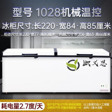 卧式大冰柜商用大容量家用冷柜冷藏冷冻柜单温沁涞双温节能冰箱 机械无数显版-1028单温铜管耐用款