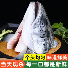 三文鱼头新鲜超大个冰鲜三文鱼头骨真空包装烧烤炖汤冷冻鱼头 1只 单只400-500克