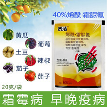 40%烯酰吗啉霜脲氰剂霜霉病 疫病专用葡萄黄瓜霜霉角斑病 100g