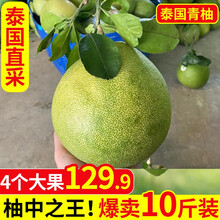 【泰国柚子】青柚进口红心柚 青皮红心蜜柚子新鲜水果 青柚大果4个装（约10斤）