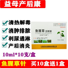 鱼腥草注射液兽药兽用猪牛羊母猪产前产后消炎针清热解毒益母产后康