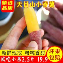 【网红红薯】临安天目山小香薯 红薯紫薯地瓜 新鲜蔬菜粗粮宝宝辅食 宝宝小果 5斤