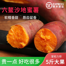 【顺丰速运】福建六鳌蜜薯沙地红心糖心地瓜5斤农家自种新鲜板栗香蕃薯西瓜红山芋 5斤装大果（7-15个）