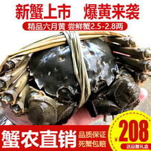 【活蟹】阳澄小斌大闸蟹 现货鲜活特大螃蟹 实物公蟹可全母蟹活蟹 海鲜水产生鲜礼盒装 精品六月黄大闸蟹2.5-2.8两 八只礼盒装