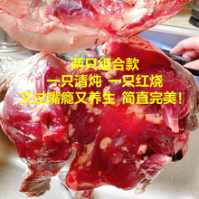 甲鱼现杀现发外塘老鳖鲜活甲鱼食用王八真空包装新鲜 净重【2.4-2.6斤】4人组合款