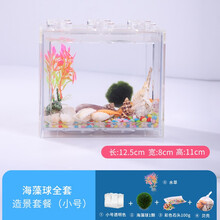桌面生态鱼缸办公室迷你小型海藻球微景观创意积木斗鱼套装造景 海藻球全套造景套餐（小号）
