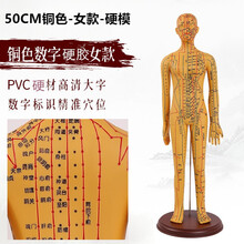 50CM人体针灸模型 铜人人体穴位模型 男铜硬胶款 上海经络通针灸穴位人体模型 刻字高清大字体 50cm女铜硬胶款
