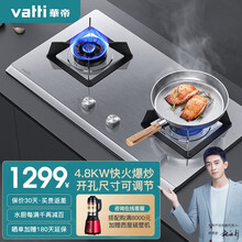 华帝（VATTI）燃气灶不锈钢 4.8kw火力 一级能效 台式嵌入式台嵌两用 不锈钢煤气灶炉具双灶具 i10064A液化气