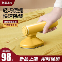 手持挂烫机家用蒸汽熨斗旅行熨烫机便携式烫斗标王（Biaowang）小型迷你熨衣服烫衣机熨烫机 鎏金色【小巧便携+钛金面板】高性价比