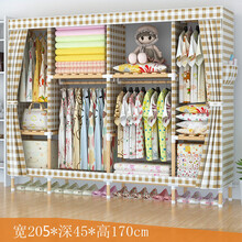 衣柜简易布衣柜家用卧室实木牛津布出租房用组装简约现代收纳衣橱 205款200宽方格 2门  组装