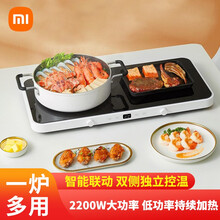 小米(MI) 米家双口电磁炉家用多功能炒菜烤肉IH双灶电子炉2200W大功率电磁灶 米家双口电磁炉