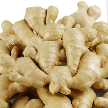 山东大姜5斤精心挑选老姜新鲜生姜安丘大黄姜月子姜 2斤生姜【尝鲜装】
