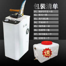 自动加水锅炉发生器全蒸汽熨斗锅炉烫斗工业吊瓶熨斗窗帘干洗店用标努 一把熨斗一台锅炉一个水壶