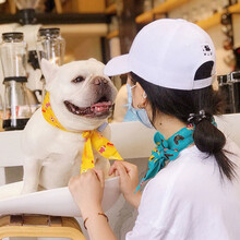狗狗冰围巾宠物口水巾猫咪三角巾泰迪法斗柴犬围脖衣服配饰狗用品 【绿+黄】2条装 100*5cm【收藏店铺优先发货】