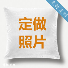 创意DIY靠枕私人定制  情人节礼物 毕业季生日送礼品 周边定制定做抱枕抱枕被 双面相同 35x35贡缎/宝宝绒