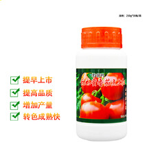 甜如蜜一点红 番茄西红柿专用催熟剂催红剂增甜着色催红素250克 甜如蜜一点红250克