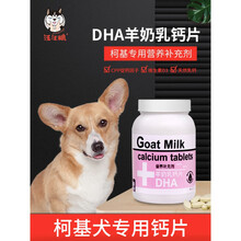 柯基专用钙片科基狗狗吃的幼犬立耳成犬老年美毛健骨微量元素