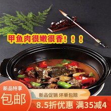 甲鱼活体生鲜水产龟王八散养中华鳖苗 1.5-1.3斤 黄背老鳖