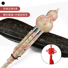 葫芦丝初学者入门C调降b调大人小学生儿童自学演奏型初学乐器 仿桃花降B调+乐器盒