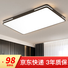 亮源方 LED吸顶灯超薄客厅灯卧室灯北欧简约灯具过道阳台书房餐厅方形灯饰 黑色60*40CM 32W 白光 适用10-15㎡