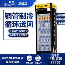 【雪花官方店】雪花商用冰柜冰箱展示柜保鲜柜立式冷藏柜商用冷藏展示柜饮料柜冷柜 单门风直冷展示柜（黑色款）