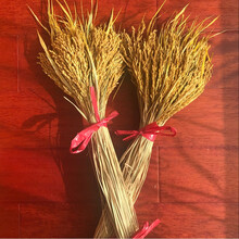 娴雅天然麦穗干花花束开业大麦田园装饰礼品拍摄道具稻穗干花真花 稻穗黄色100支